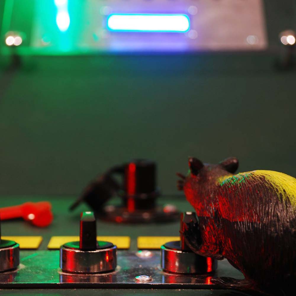 Our resident rat Ratty playing with the ships controls in cinematic lighting